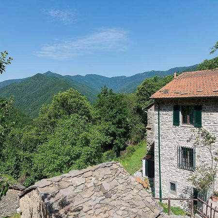 La Casa Nel Bosco-Senza Auto Guest House Ponte della Venturina Ngoại thất bức ảnh