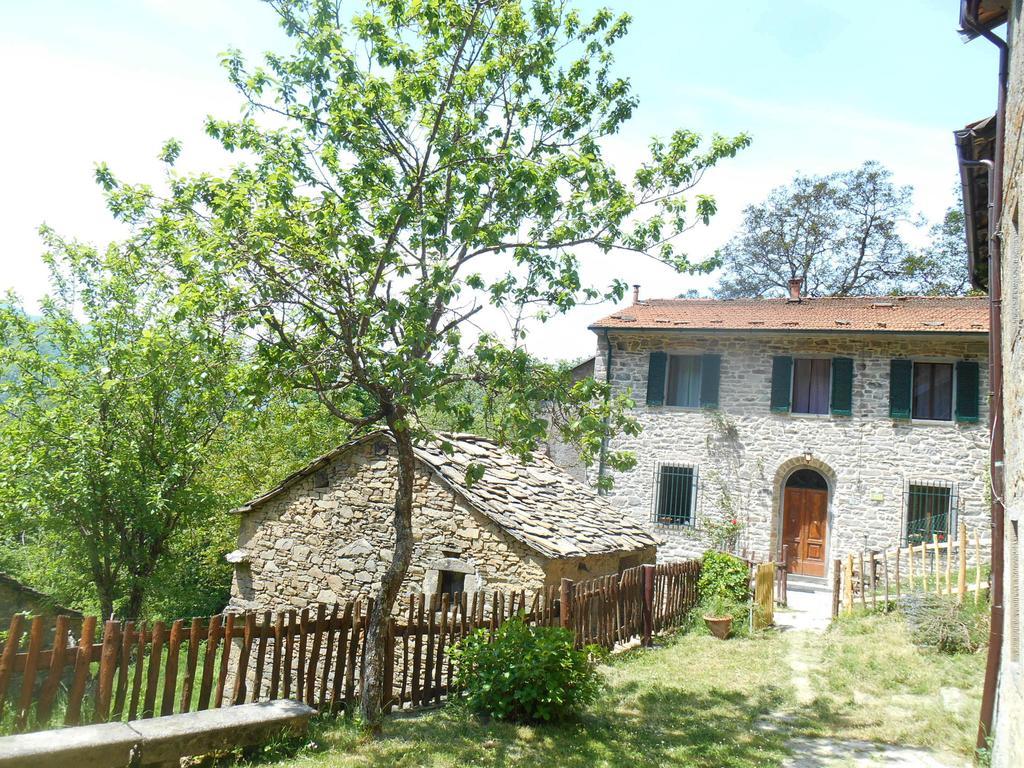 La Casa Nel Bosco-Senza Auto Guest House Ponte della Venturina Ngoại thất bức ảnh