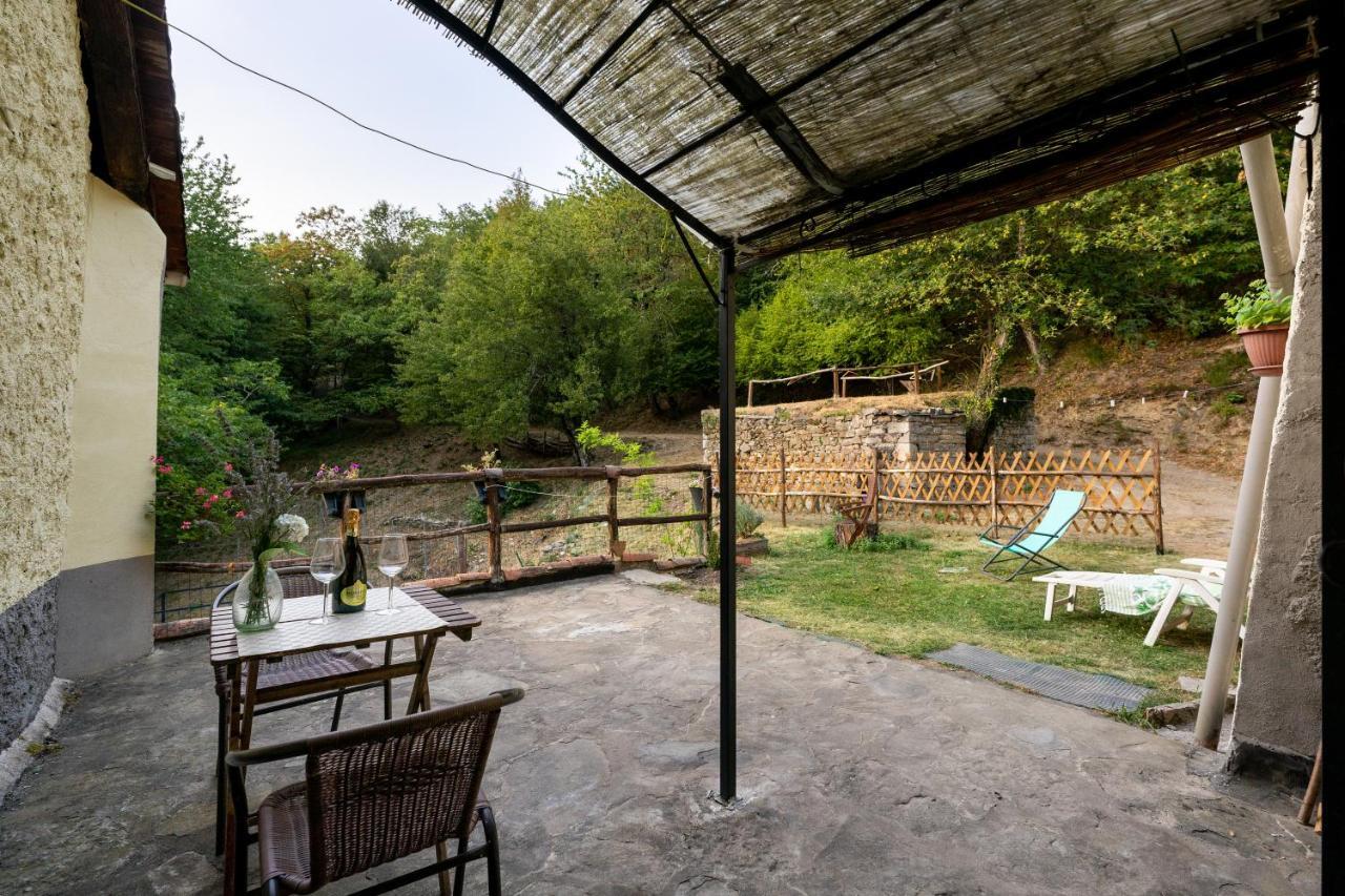 La Casa Nel Bosco-Senza Auto Guest House Ponte della Venturina Ngoại thất bức ảnh