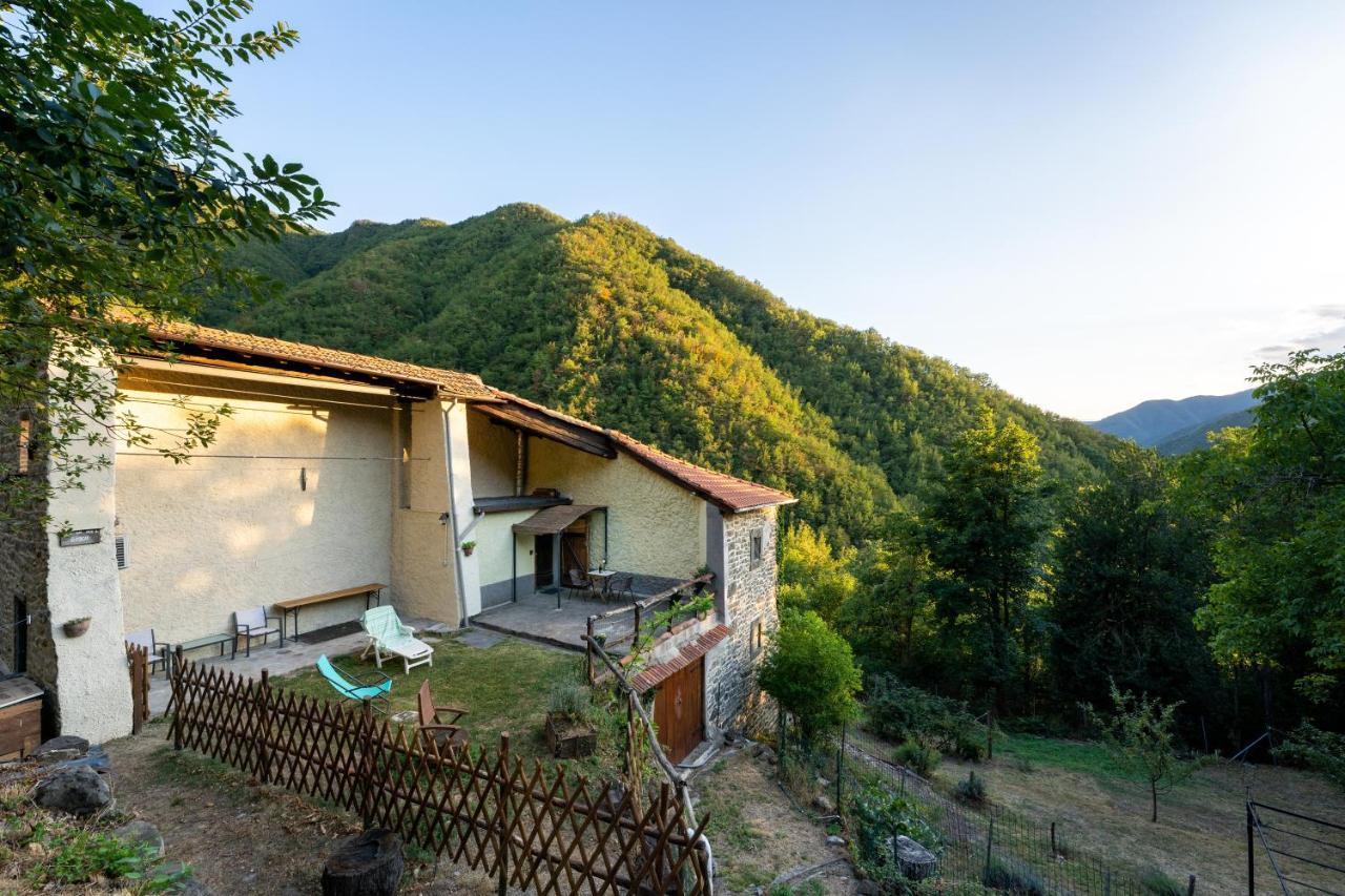 La Casa Nel Bosco-Senza Auto Guest House Ponte della Venturina Ngoại thất bức ảnh
