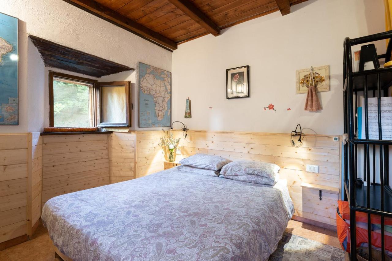 La Casa Nel Bosco-Senza Auto Guest House Ponte della Venturina Ngoại thất bức ảnh