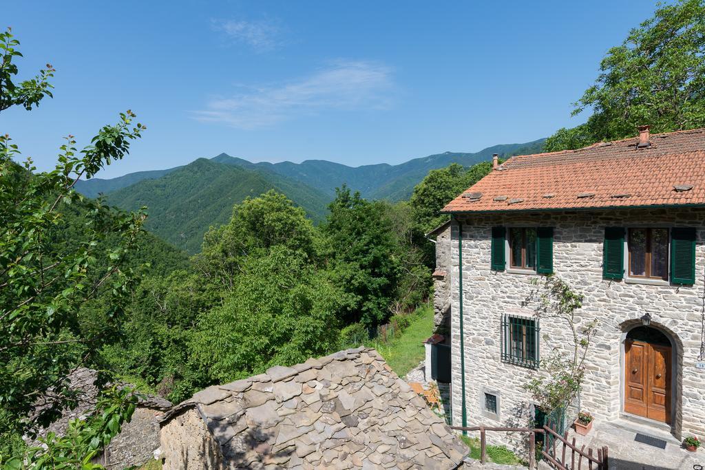 La Casa Nel Bosco-Senza Auto Guest House Ponte della Venturina Ngoại thất bức ảnh