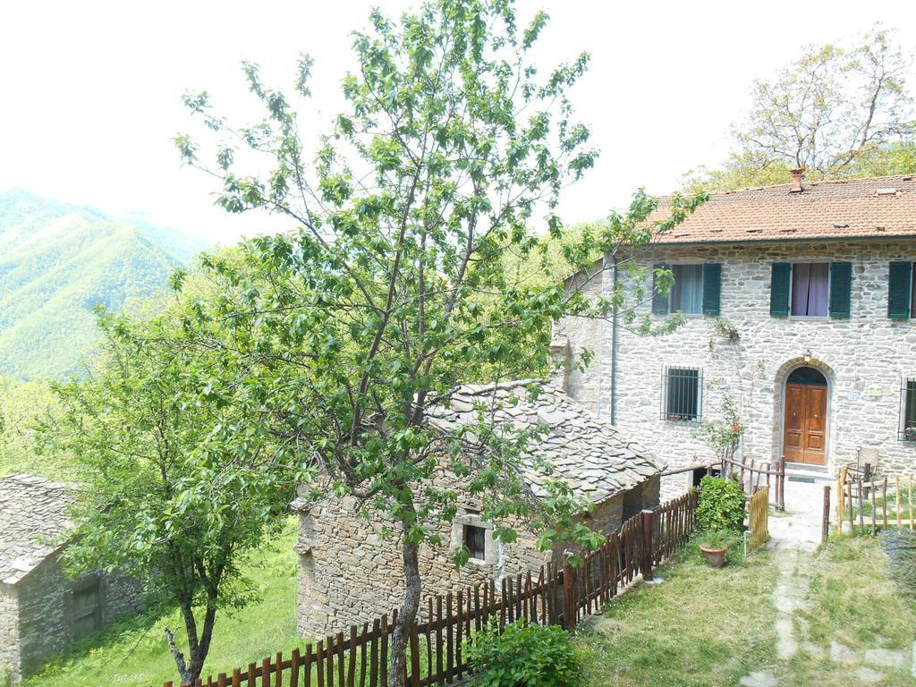 La Casa Nel Bosco-Senza Auto Guest House Ponte della Venturina Phòng bức ảnh