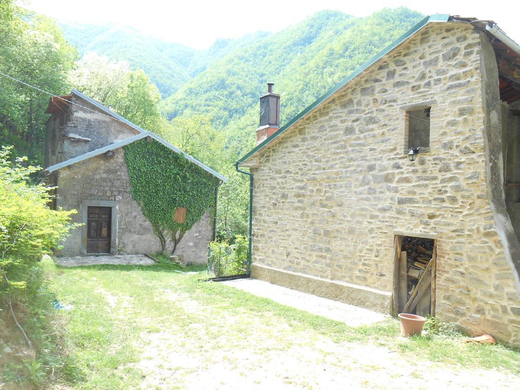 La Casa Nel Bosco-Senza Auto Guest House Ponte della Venturina Phòng bức ảnh