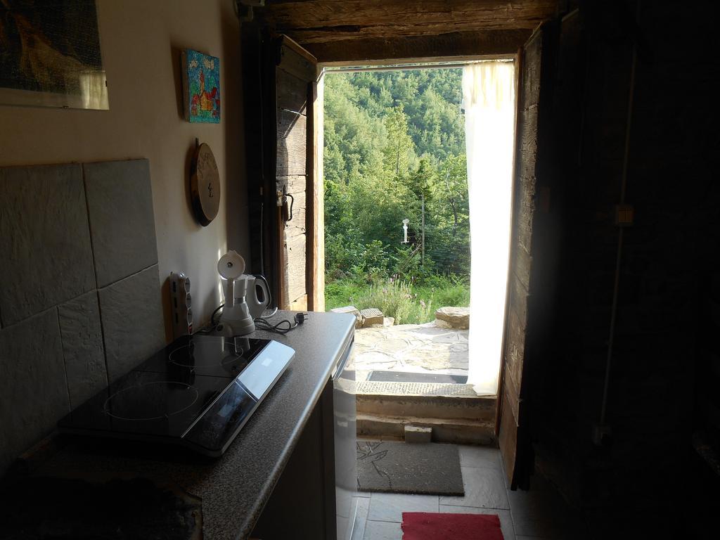 La Casa Nel Bosco-Senza Auto Guest House Ponte della Venturina Ngoại thất bức ảnh