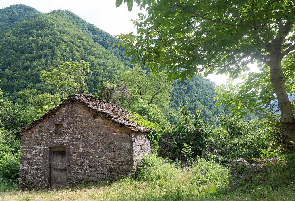La Casa Nel Bosco-Senza Auto Guest House Ponte della Venturina Ngoại thất bức ảnh