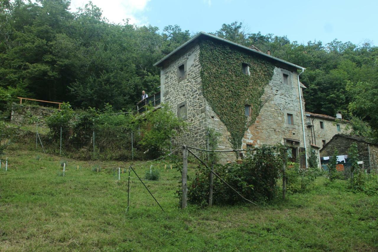 La Casa Nel Bosco-Senza Auto Guest House Ponte della Venturina Ngoại thất bức ảnh