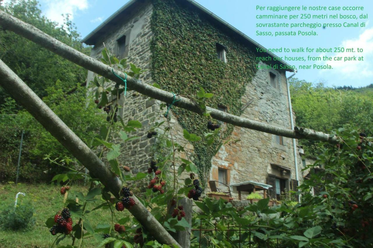 La Casa Nel Bosco-Senza Auto Guest House Ponte della Venturina Ngoại thất bức ảnh